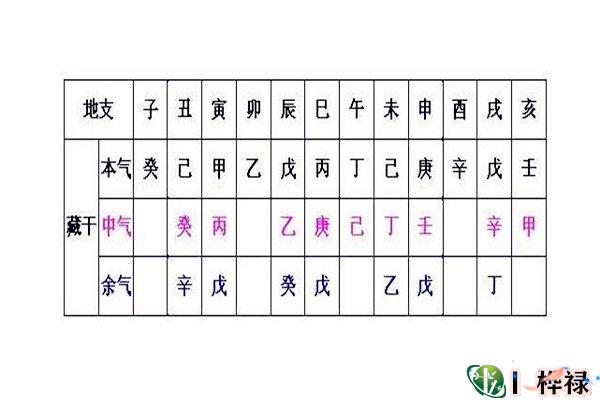 十二地支藏干必背口诀及作用原理