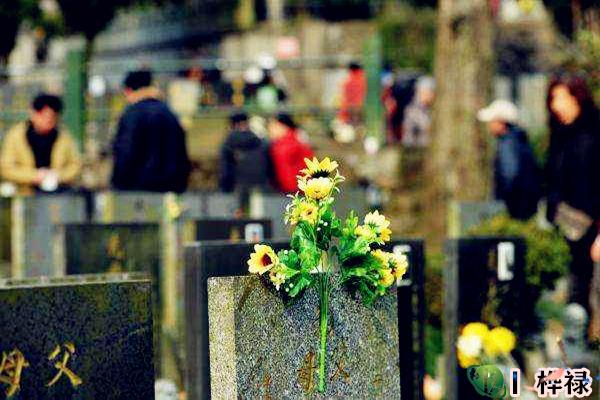 殡葬择日方法步骤详解，​凶葬法择日原则