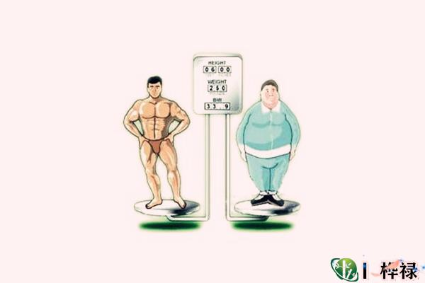 体型的胖瘦看运势变化