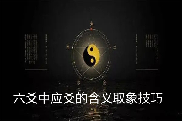 六爻中应爻的含义取象技巧