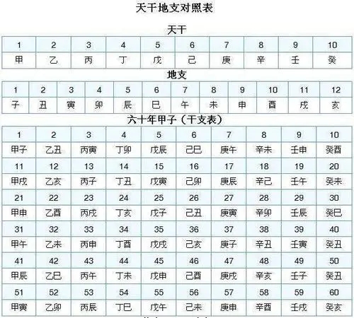 四柱基础：十天干十二地支知识详解大全