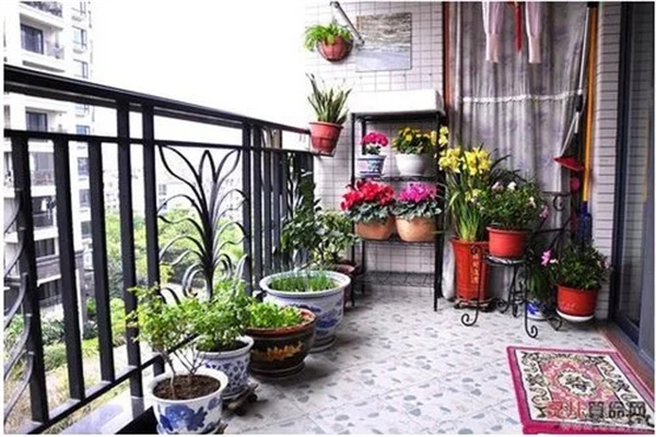 住宅阳台植物选择风水
