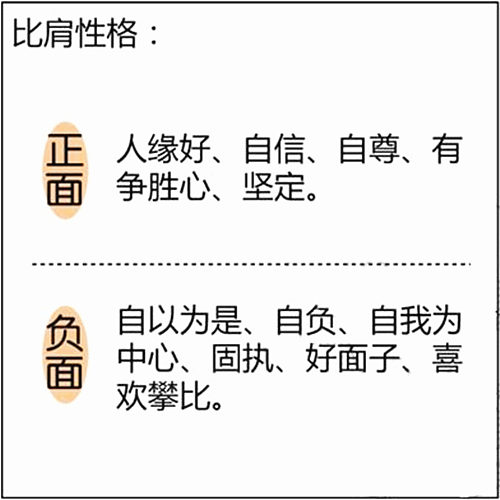 八字基础知识：比肩是什么意思