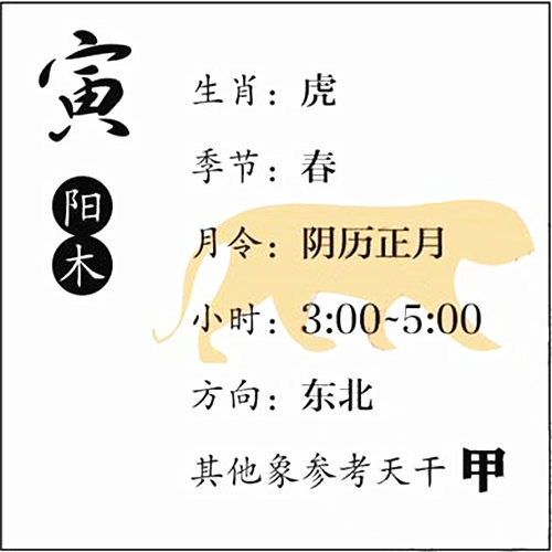 八字基础知识：十二地支、寅木