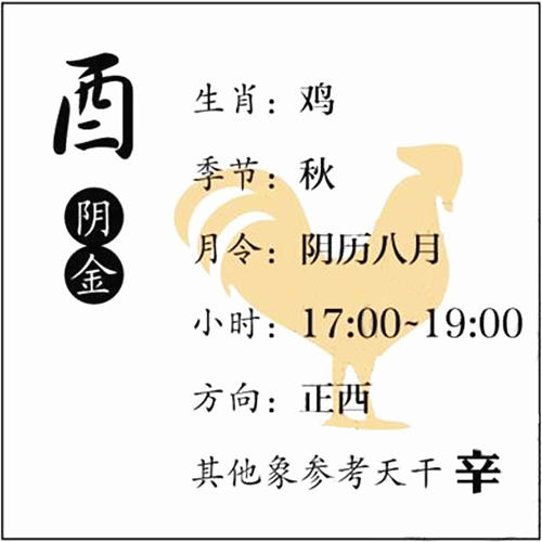 八字基础知识：十二地支、酉金