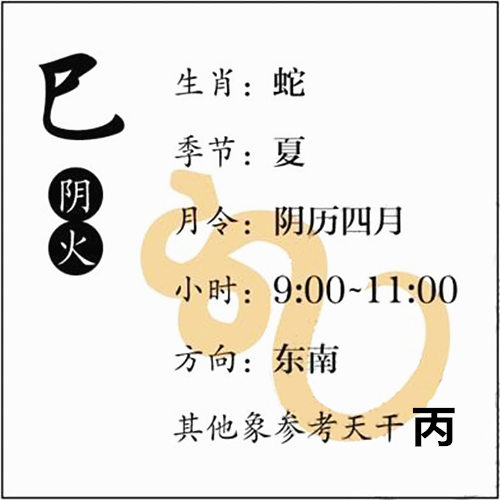 八字基础知识：十二地支、巳火