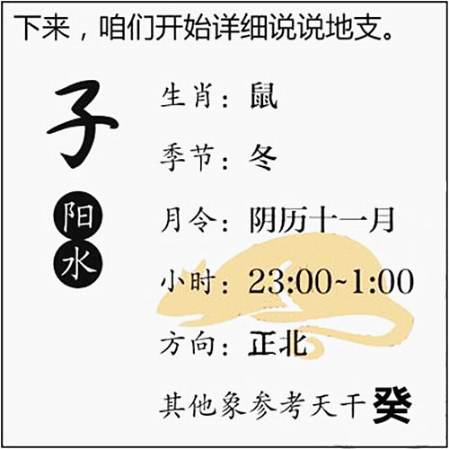 八字基础知识：十二地支、子水