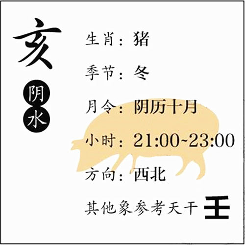 八字基础知识：十二地支、亥水