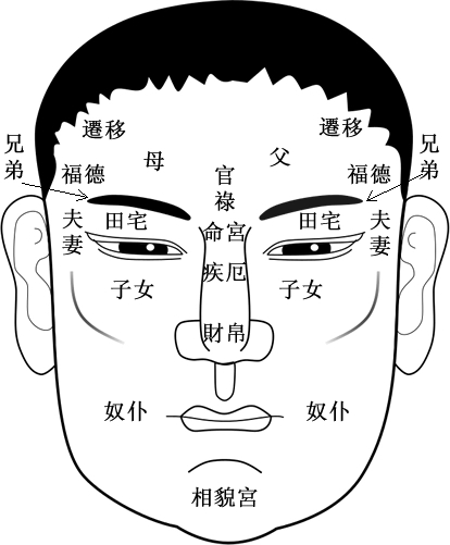 面相宫位怎么看