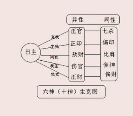 正印与坐支十神关系